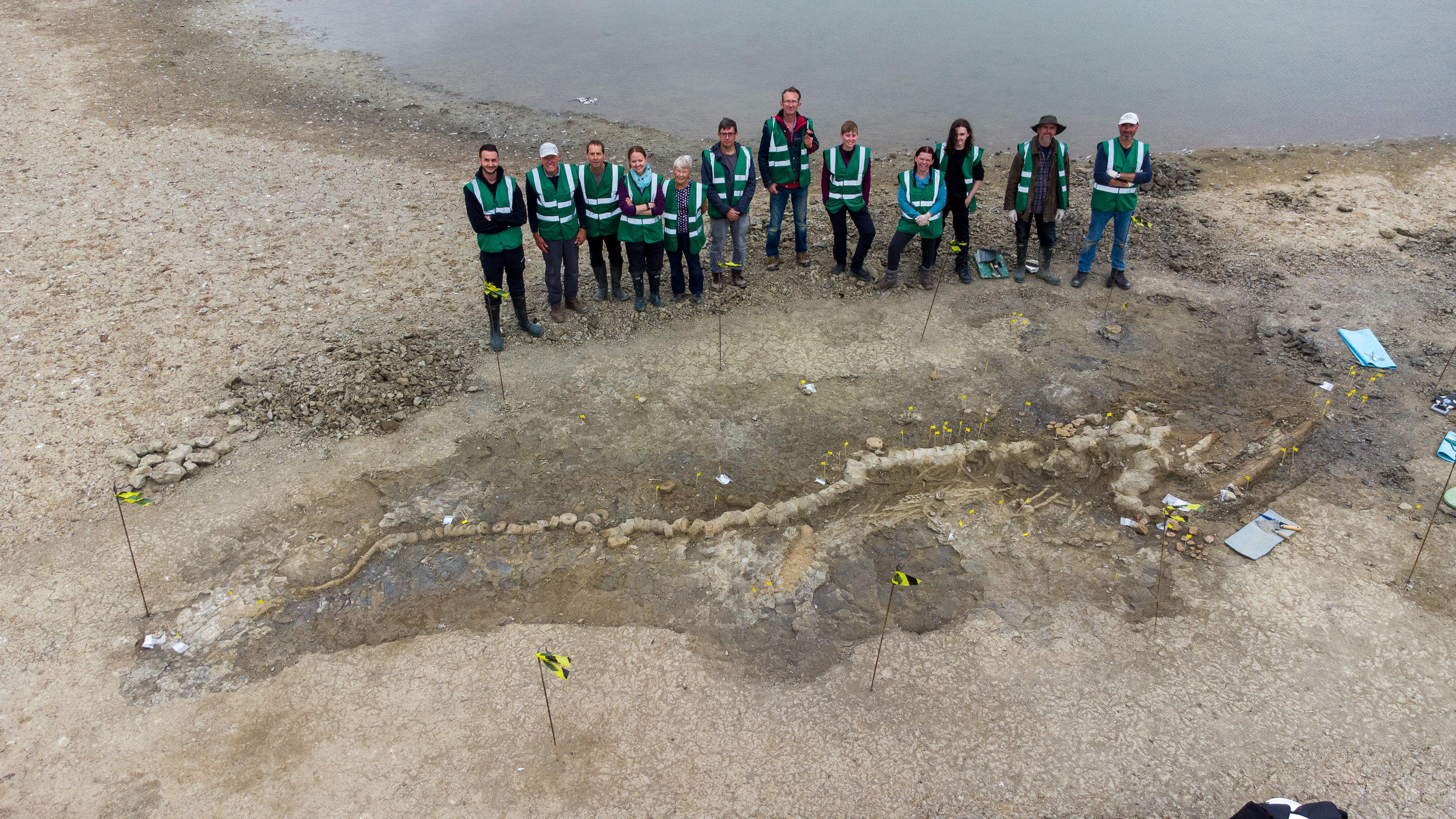 HANDOUT - 10.01.2022, Großbritannien, --: Undatiertes Handout-Foto, herausgegeben von Anglian Water, zeigt Paläontologen bei der Arbeit an dem Ichthyosaurier-Skelett, das im Rutland Nature Reserve gefunden wurde. Zehn Meter ist es lang und allein der