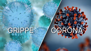Collage Grippe und Corona