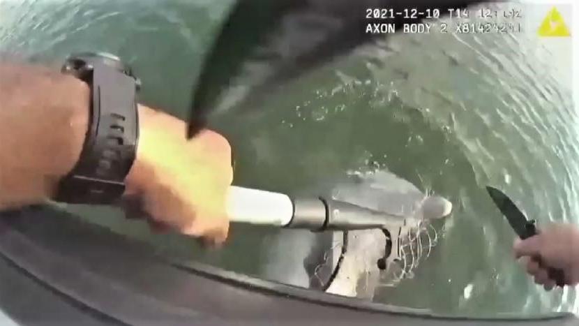 Mit einem Taschenmesser durchtrennte der Polizist das Fischernetz.