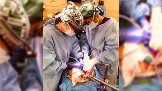 Bild einer Transplantation zweier Schweinenieren an University of Alabama