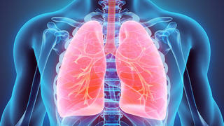 Omikron bleibt eher in den oberen Atemwegen und dringt nicht so stark in die Lunge ein, wie die bisherigen Varianten. Grund dafür sind die sogenannten Interferone.