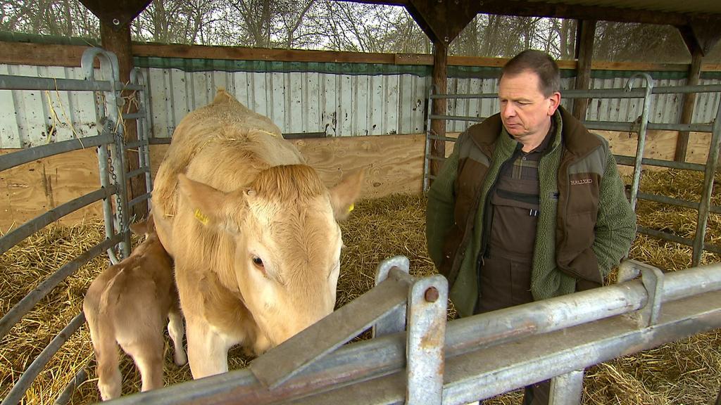 "Jede Kuh hat ihr eigenes Merkmal", sagt Landwirt Matthias Kupke.