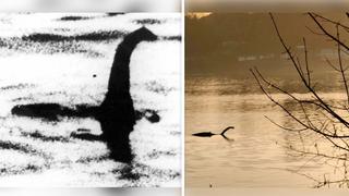 Angebliche Foto-Beweise: Nessie in Loch Ness 1934 (links) und Nessie im Wimbledon Park Lake (rechts)