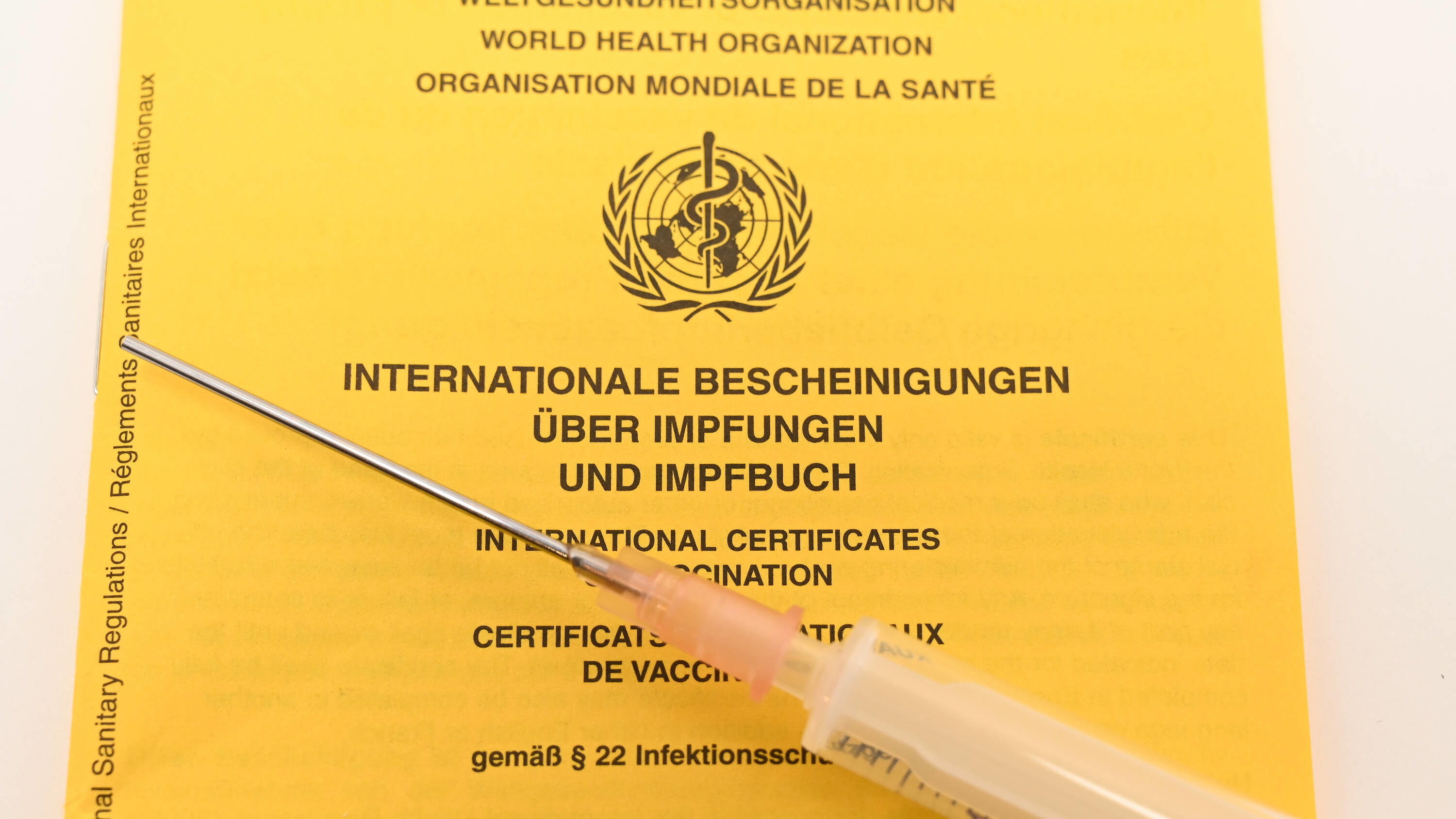 ausf-llbar-online-gesundheitszeugnis-certificate-of-health-fax