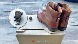 Hilfe, eine Fledermaus im Schuh! Ach du Schreck, wie kommt die denn da rein?