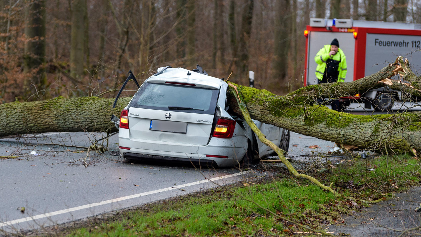 17.02.2022, Niedersachsen, Bad Bevensen: Ein durch den Sturm umgestürzter Baum liegt auf einem Pkw. Der 37-jährige Fahrer wurde dabei tödlich verletzt. Foto: Philipp Schulze/dpa +++ dpa-Bildfunk +++