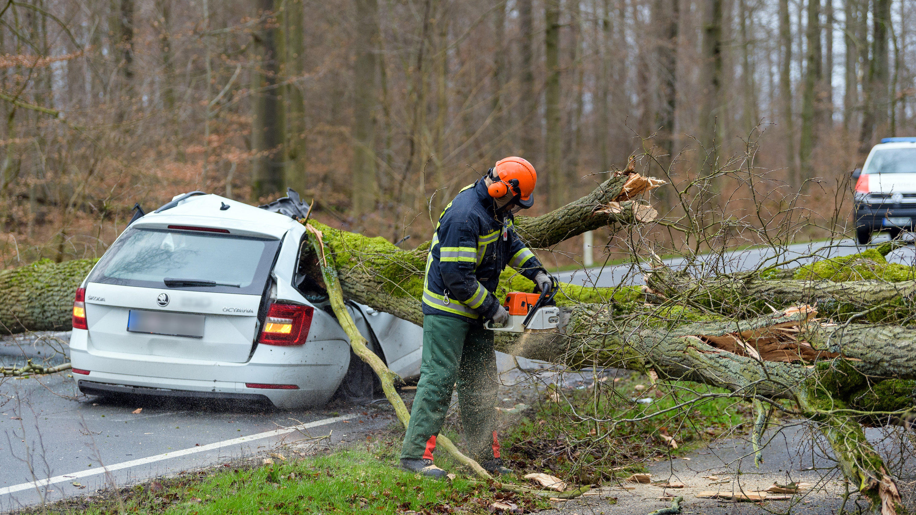 dpatopbilder - 17.02.2022, Niedersachsen, Bad Bevensen: Ein durch den Sturm umgestürzter Baum liegt auf einem Pkw. Der 37-jährige Fahrer wurde dabei tödlich verletzt. Foto: Philipp Schulze/dpa +++ dpa-Bildfunk +++