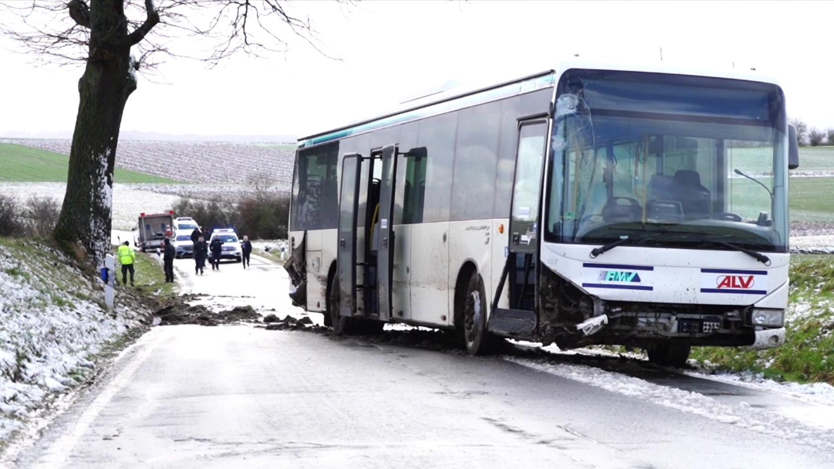 Neustadt: Linienbus Mit Schülern Prallt Gegen Baum - Mehrere Verletzte