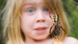 Ein junges Mädchen sieht eine Spinne in ihrem Spinnennetz, in ihrem Gesicht spiegelt sich die Angst wieder.