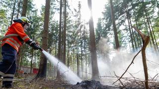 Niedersachsen stellt Feuerwehr für Waldbrände neu auf