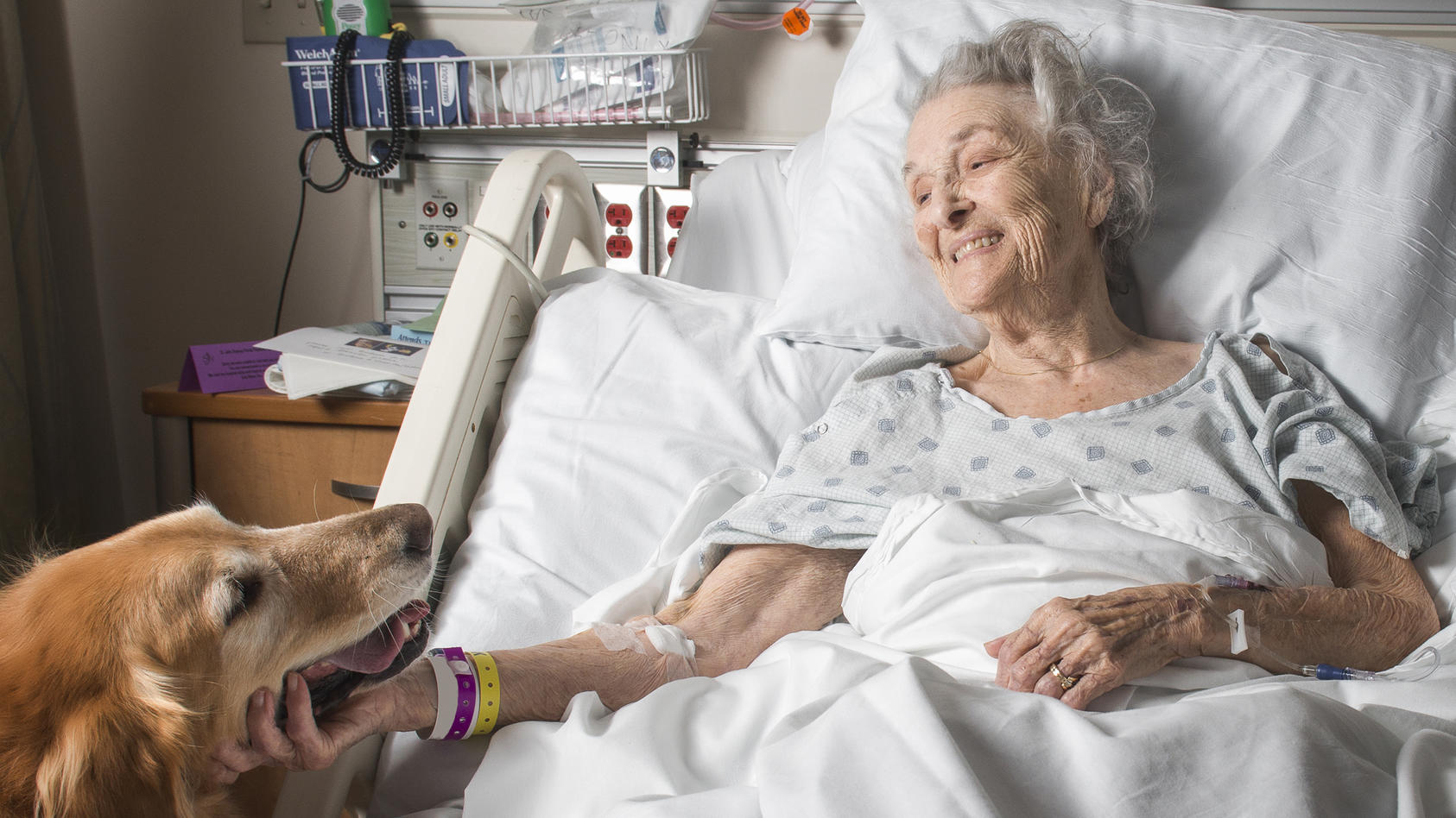 Symbolbild: Frau im Krankenhaus mit Therapiehund