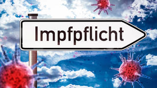 29 January 2022: Sign saying compulsory vaccination - Covid 19 coronavirus compulsory vaccination symbol image - PHOTOMONTAGE *** Schild mit der Aufschrift Impfpflicht - Covid 19 Coronavirus Pflicht zur Impfung Symbolbild - FOTOMONTAGE 