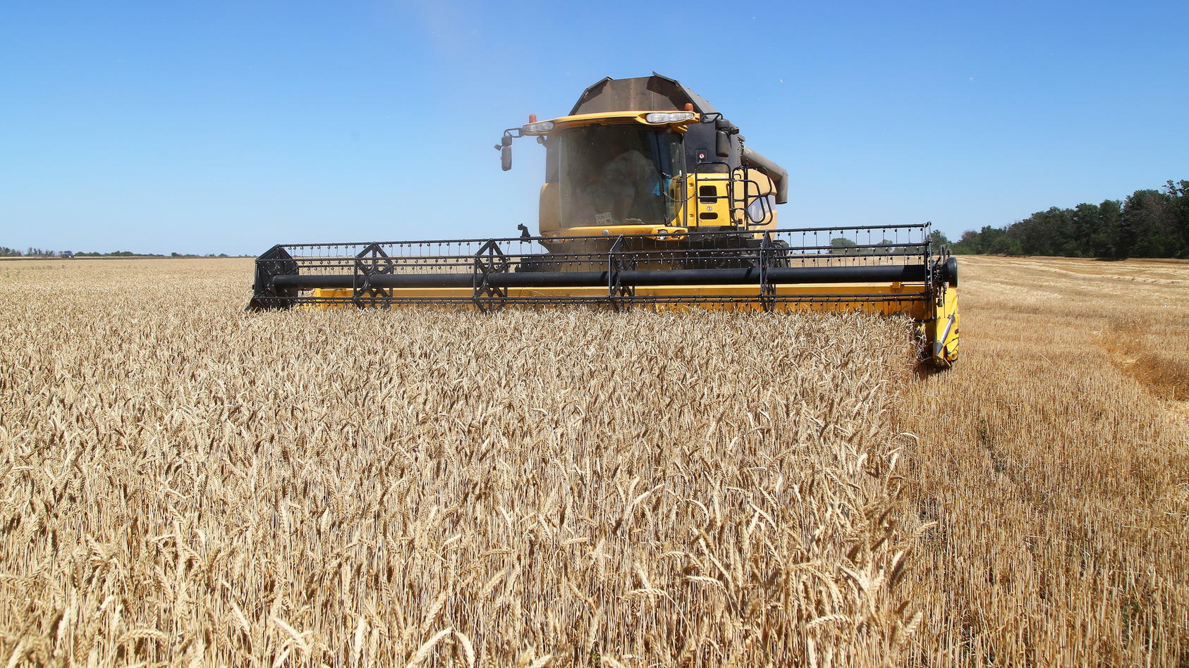 Agricultural machinery harvest winter wheat in a field of the Zarya-Agro state-owned farming enterprise near the village of Krasnoarmiyske, Novoazovsky District. Valentin Sprinchak/TASS