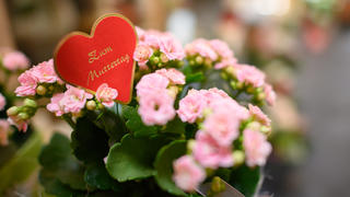 Ein Herz mit der Aufschrift «Zum Muttertag» steckt in einem Blumengeschäft in einem Topf mit der Pflanze Flammendes Käthchen.