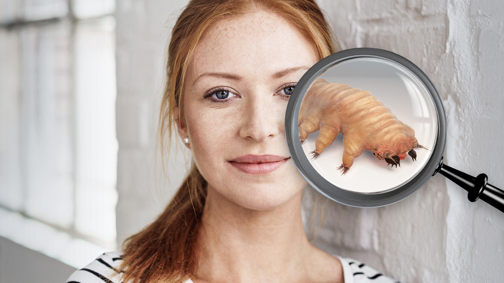 Unbemerkte Untermieter: Demodex-Milben leben quasi unsichtbar mitten in unserem Gesicht.