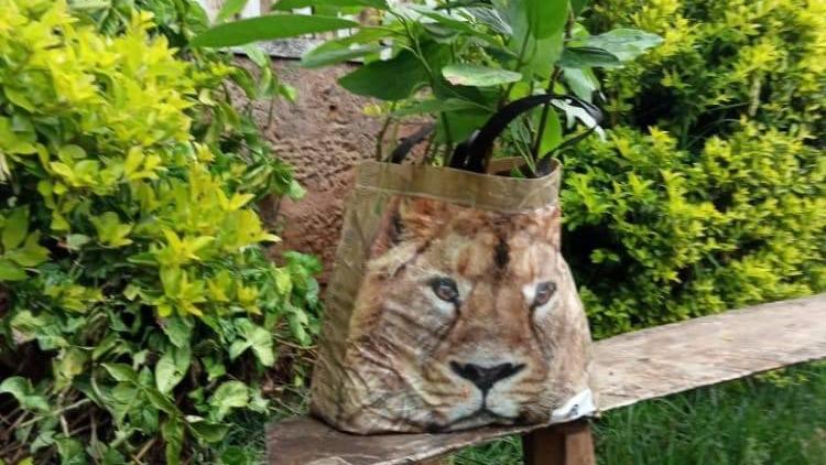 Diese Tasche wurde in Kenia fälschlicherweise für einen echten Löwen gehalten.