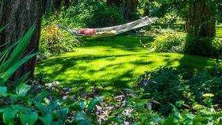 A hammock in a sunlit setting in the garden