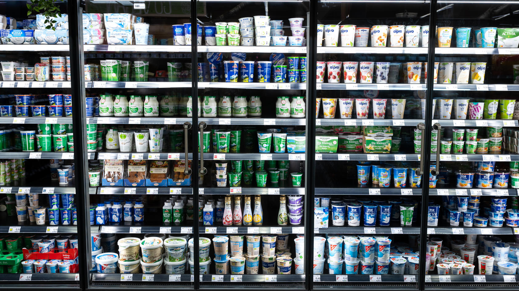 Verschiedene Milchprodukte stehen in Kühlschränken in einem Supermarkt.