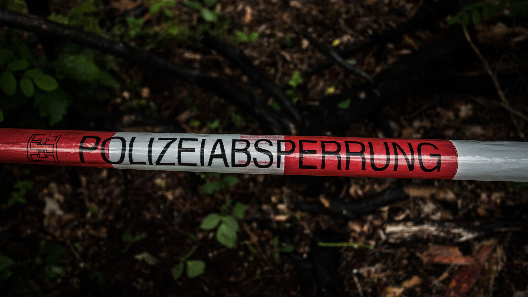 Nienburg-Frau-verschwindet-in-Wald-jetzt-sucht-die-Polizei-mit-einem-Gro-aufgebot