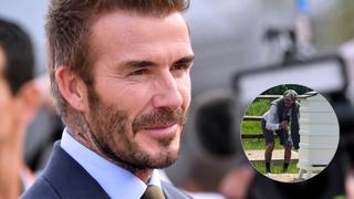 Ex-Fußballer David Beckham ist begeisterter Hobby-Imker.