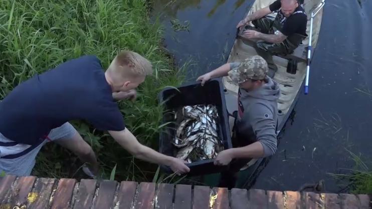 Die freiwillige Feuerwehr holt kiloweise tote Fische aus dem Gewässer