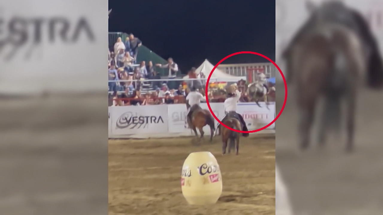 video-zeigt-stier-flucht-rodeo-bulle-springt-in-menschenmasse