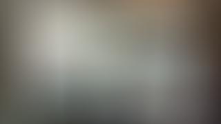 Röntgenbild einer Katze mit Holzspieß durch Körper