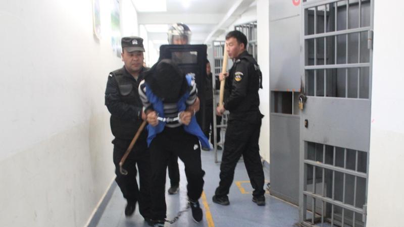 «Xinjiang Police Files»