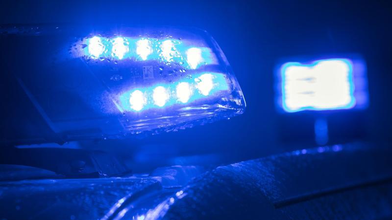 blaulicht-auf-einem-polizeifahrzeug-foto-jens-buttnerzbdpasymbolbild