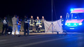 Unfallflucht mit Todesfolge auf Bundesstraße zwischen Speyer und Dudenhofen