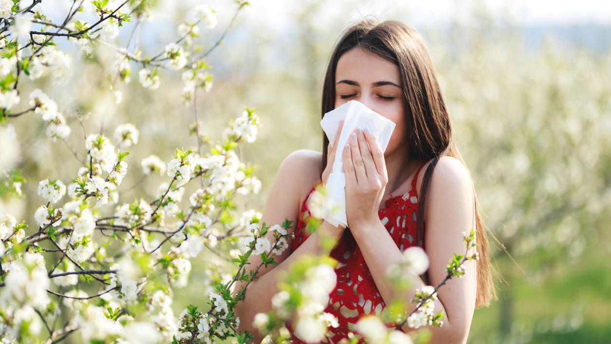 Uno de cada dos europeos pronto sufrirá alergias