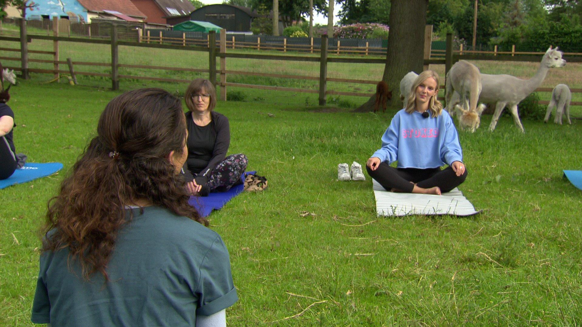 Yoga-Lehrerin Inka Mühlbrandt (vorne) erklärt den Teilnehmern und RTL Nord-Reporterin Jenny Richter (rechts), wie das Alpaka-Yoga funktioniert.