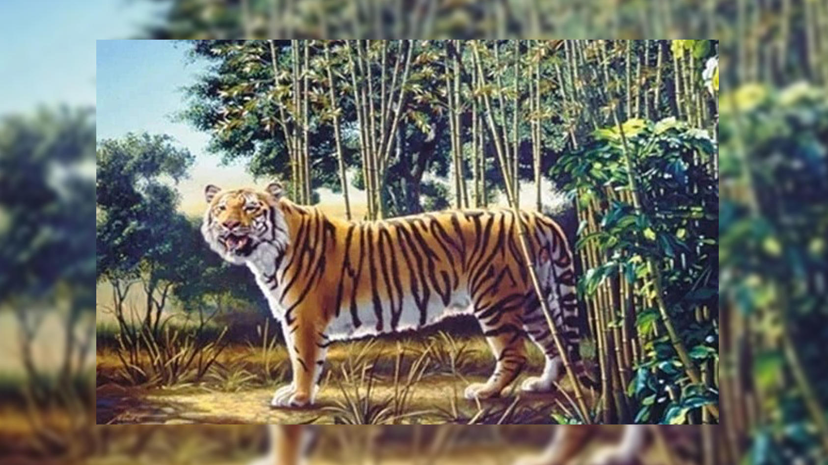 Optische Täuschung mit Tiger - hier hat sich eine Botschaft versteckt.