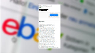 Screenshot der eBay-Anzeige des Mannes zum 9-Euro-Ticket