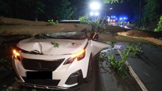 Fahrer überlebt Baumeinsturz