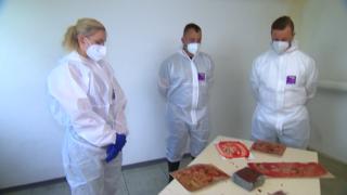trauer-um-schlender-stute-von-fechenheim-spazierendes-pferd-jenny-ist-tot
