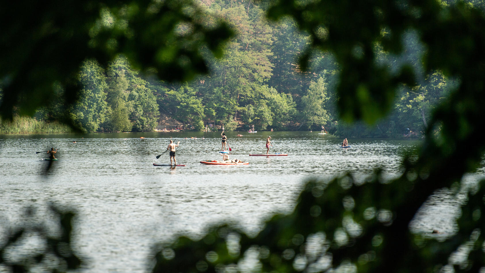 Berlin: Stand-Up Paddler fahren auf dem Schlachtensee. In diesem See wie in anderen Gewässern gab es in den Vorjahren Hinweise auf Saugwürmer im Wasser. Ihre winzigen Larven, die so genannten Zerkarien, treten vermehrt an Ufern m