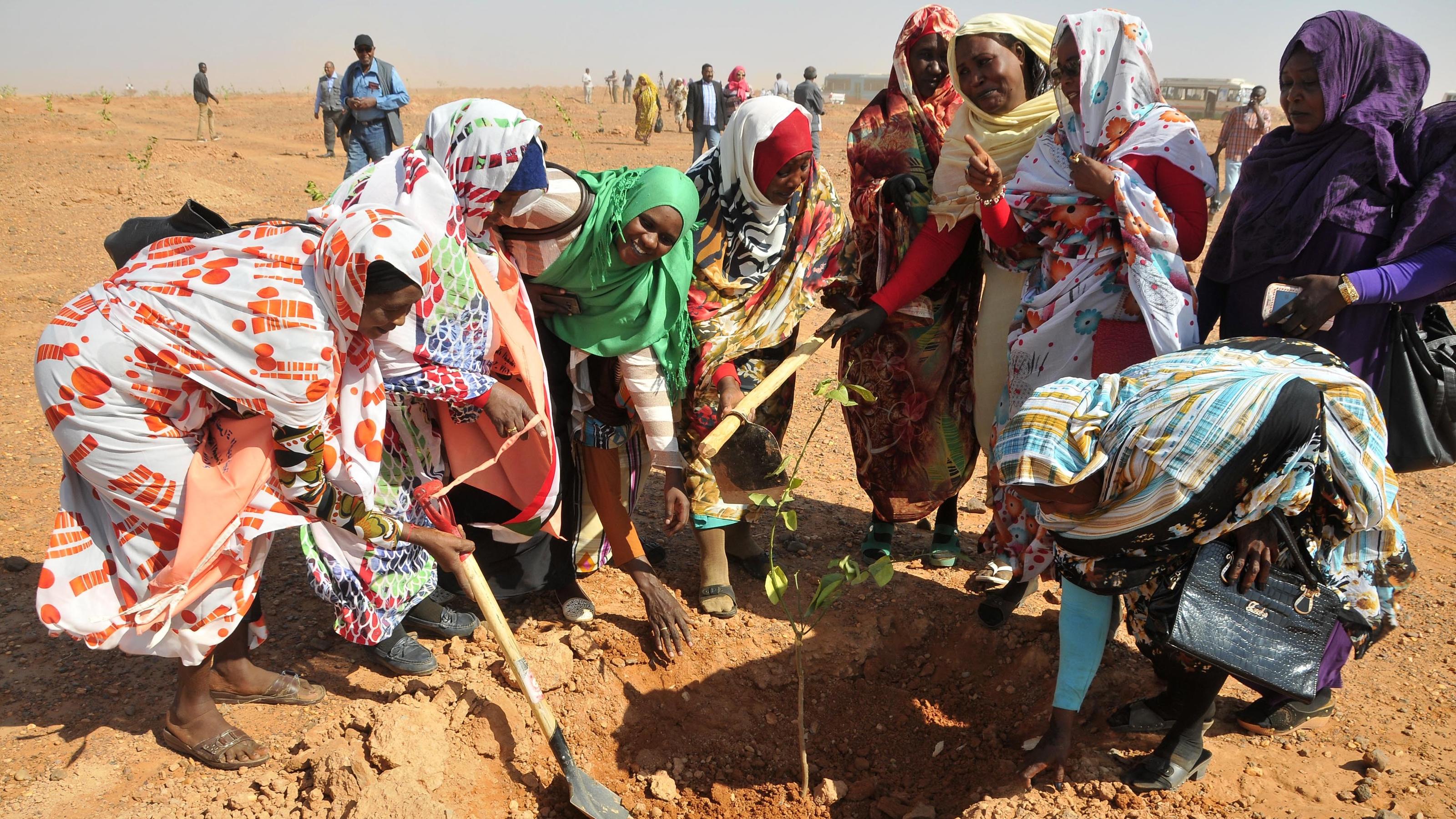Menschen pflanzen Bäume am Stadtrand von Khartoum, Sudan, 12. Januar 2017. Die Behörden des sudanesischen Staates Khartum haben mit der Pflanzung von rund 1.000 Bäumen im Rahmen des Grüngürtelprojekts des Staates begonnen, das Teil der Großen Grünen