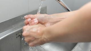 ILLUSTRATION - Eine Frau wäscht sich am Dienstag (24.05.2011) in München (Oberbayern) in einer Restaurantküche die Hände. Um das Risko zu minimieren, sich mit Krankheitserregern zu infizieren, raten Experten zu häufigem Händewaschen. Der aggressive Darmkeim EHEC wütet derzeit in Deutschland und hat bereits Todesopfer gefordert. Die Erreger leben vor allem im Darm von Wiederkäuern und können auch über ungewaschene und unerhitzte Lebensmittel übertragen werden. Der EHEC-Erreger wird auch im direkten Kontakt mit Infizierten oder mit den Keimen weitergegeben. Schützen kann man sich vor allem durch regelmäßiges Händewaschen sowie die gründliche Reinigung von Gemüse und Küchenutensilien. Foto: Felix Hörhager dpa/lby  +++(c) dpa - Bildfunk+++