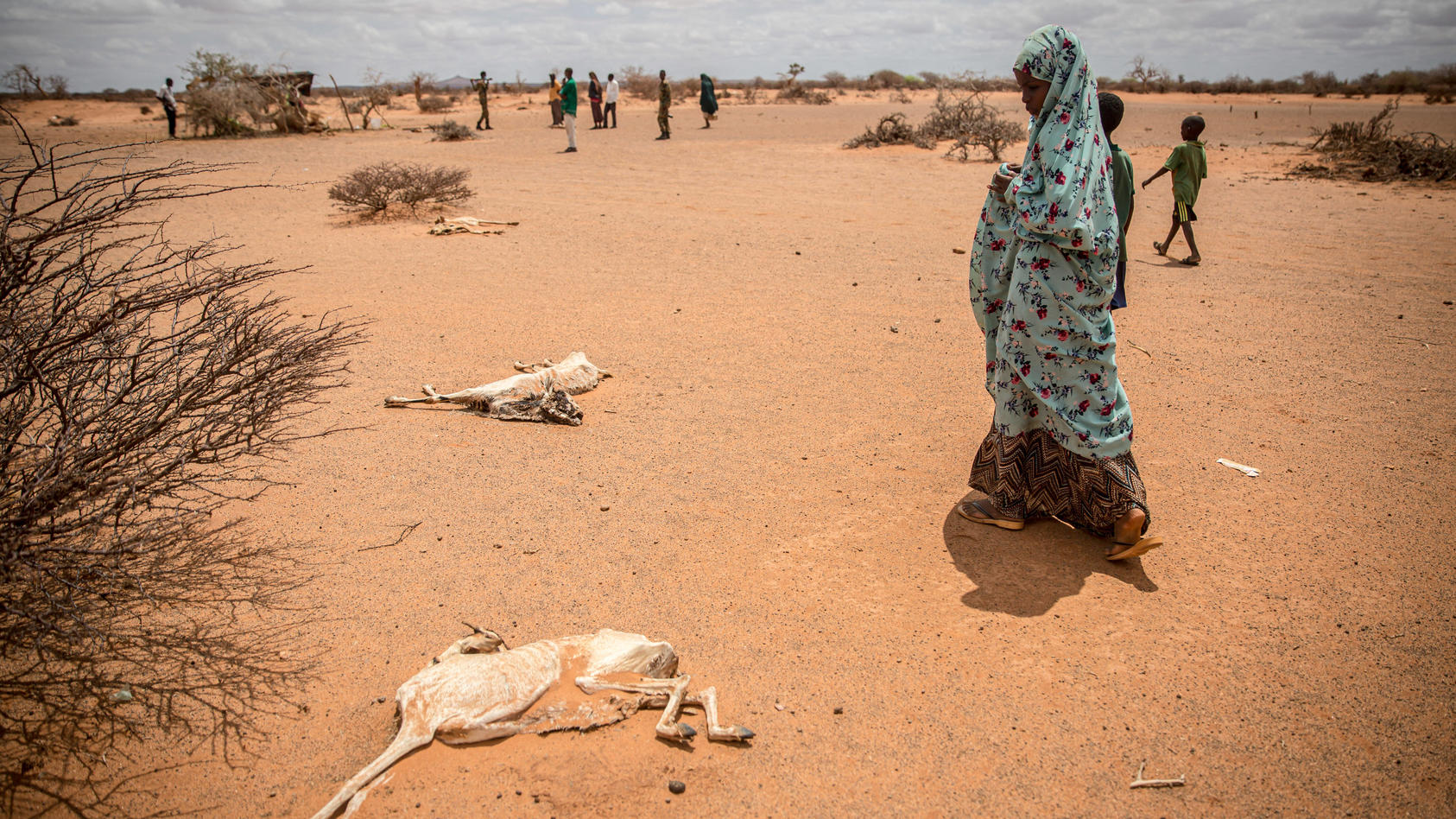 Welthungerhilfe Bericht Millionen Menschen Droht Der Hungertod 