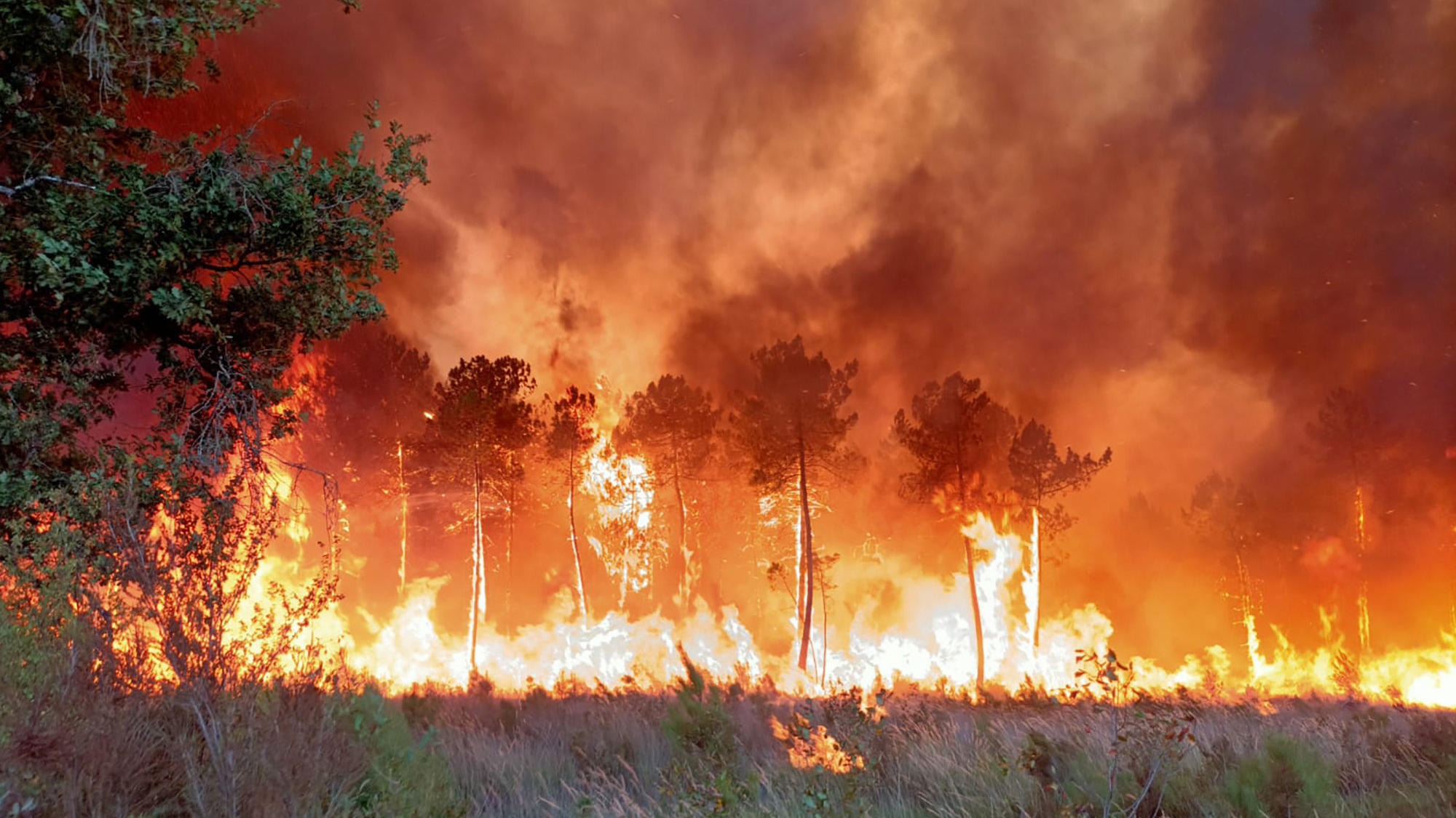 This photo provided Friday July 15, 2022 by the fire brigade of the Gironde region (SDIS 33) shows a wildfire near Landiras, southwestern France, Thursday, July 14, 2022. Several hundred firefighters struggled Friday to contain two wildfires in the B