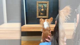 Demi Moores Hund ist ein Kunstkenner. Vielleicht.