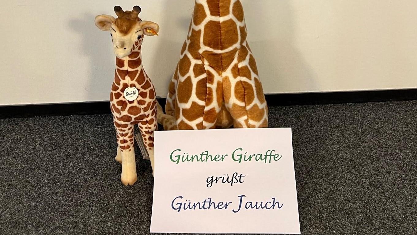 Willkommen Günther! Diese süße kleine Baby-Giraffe ist das jüngste Mitglied in Daniela Rives Kuscheltierfamilie und erinnert die Troisdorferin jeden Tag an ihre erfolgreiche Teilnahme bei "Wer wird Millionär?"