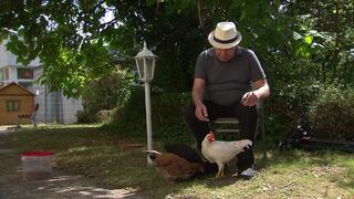 Jürgen und die Hühner