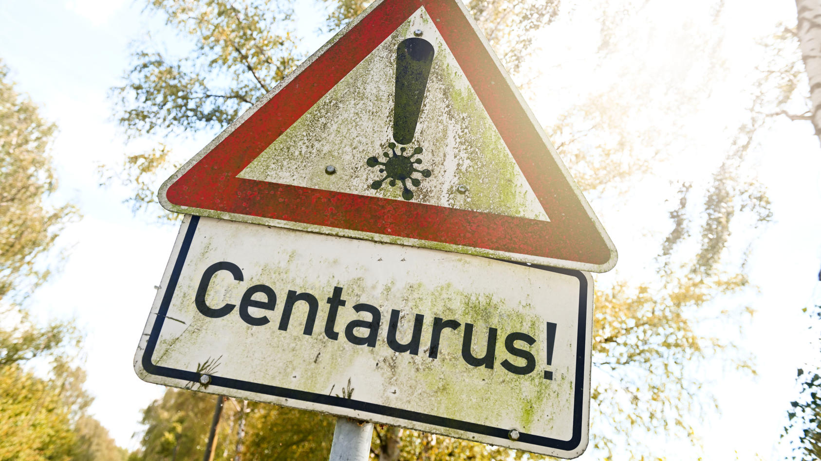Straßenschild mit Coronavirus-Symbol und Aufschrift Centaurus / action press