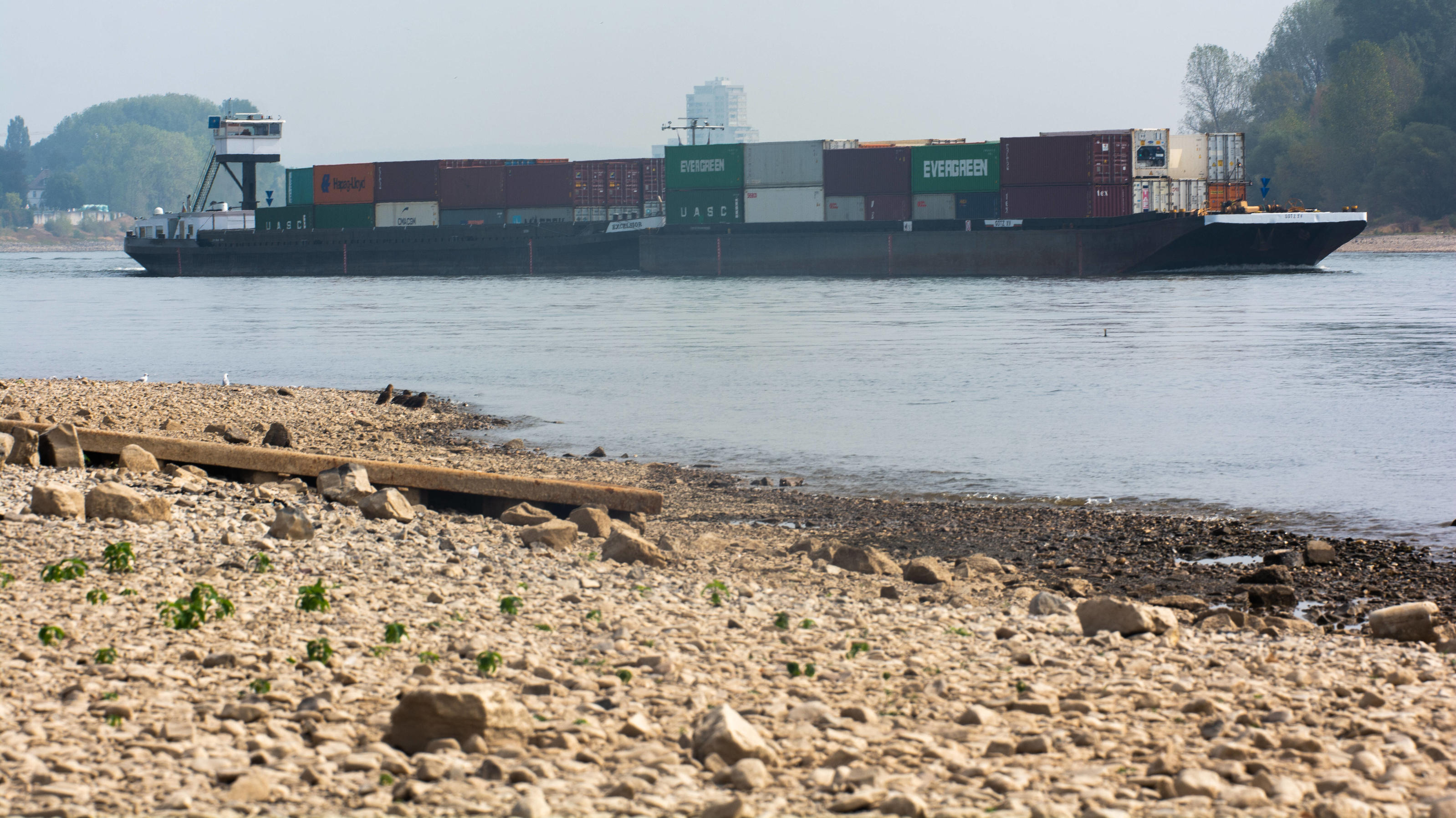  Drought Weather Continues In Cologne a cargo ship is seen on the rhine river in Cologne, Germany on August 19, 2022 Cologne Germany PUBLICATIONxNOTxINxFRA Copyright: xYingxTangx originalFilename: tang-notitle220819_nph98.jpg