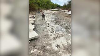 Eine Person läuft an einem ausgetrocknetem Fluss entlang und untersucht Dinosaurier-Spuren.