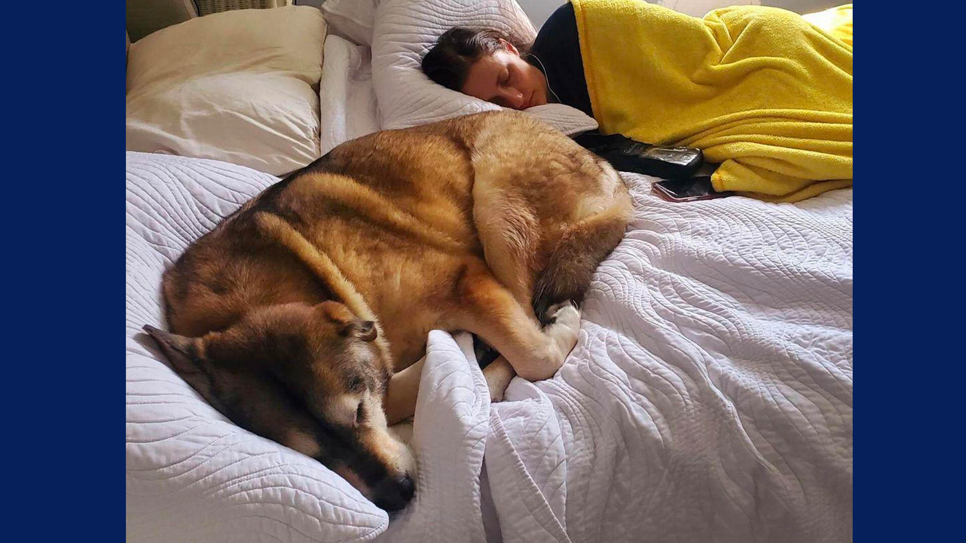 Phelps mit ihrem Hund im Bett.