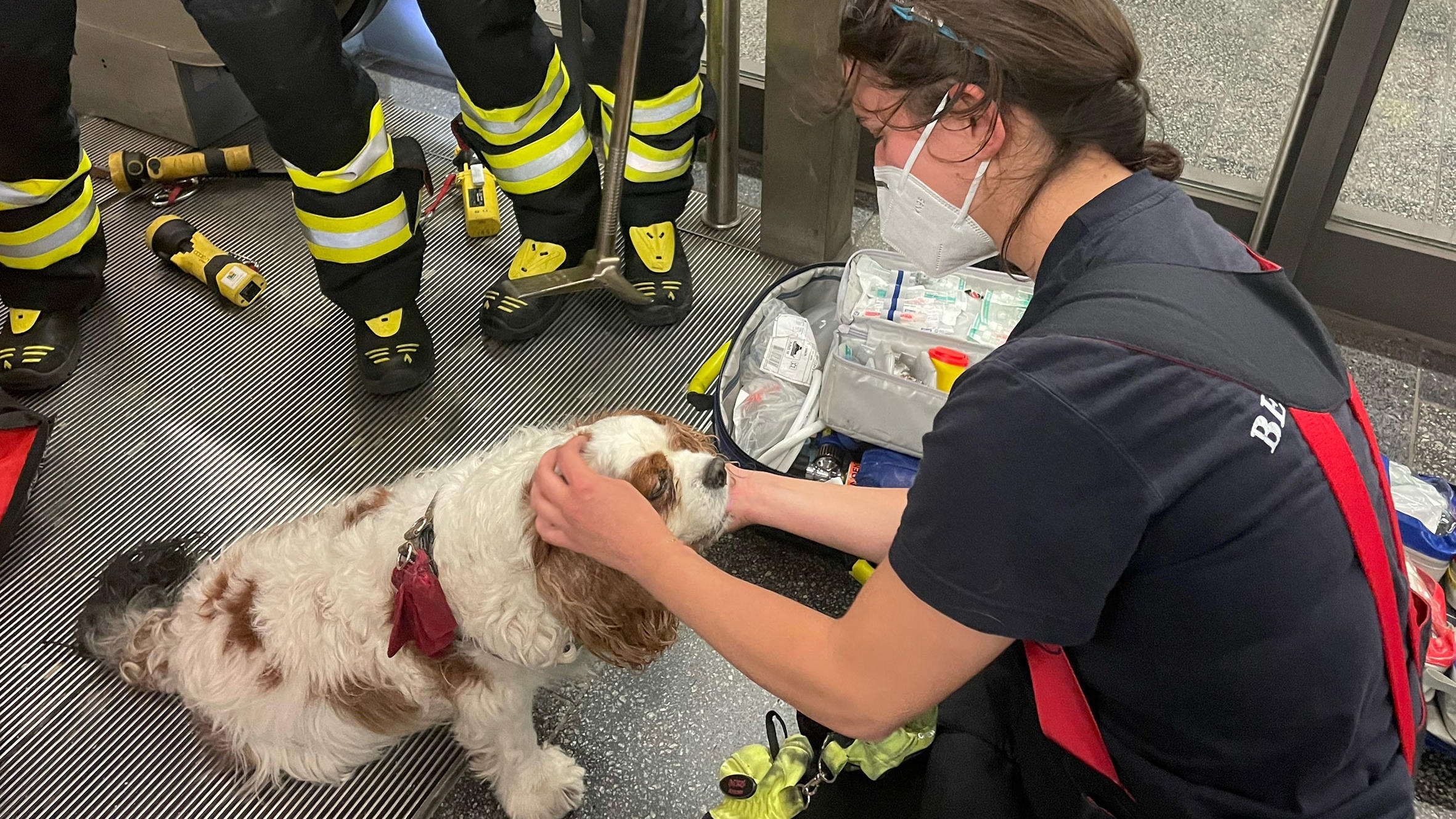 Rettungskräfte der Berufsfeuerwehr München mit dem befreiten Hund