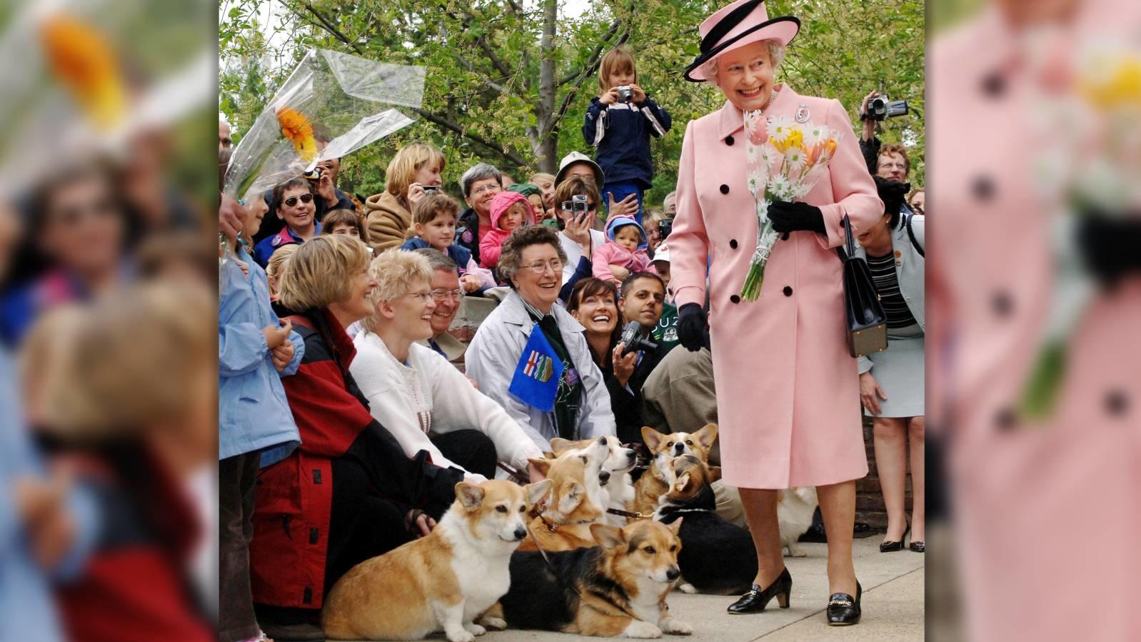 Königin Elizabeth II. wird im Jahr 2005 von Corgi-Fans und deren Hunden  in Edmonton begrüßt